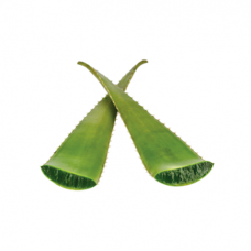 1pc Aloe (about1.0-1.3lb)